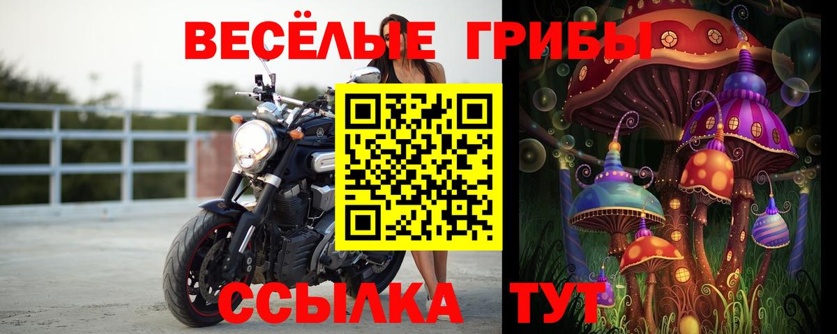 Балашиха  как найти закладки  Вход с VPN  Псилоцибиновые грибы прущие грибы 